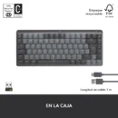 Teclado Logitech Mx Keys Mini Inalámbrico Español Grafito