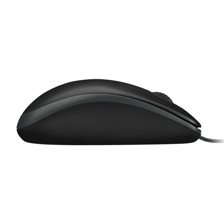 Teclado y Mouse Logitech MK120 USB (5)